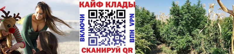 Что такое Далматово Cocaine  Меф мяу мяу  Гашиш  Alpha-PVP  ГЕРОИН  Канабис 