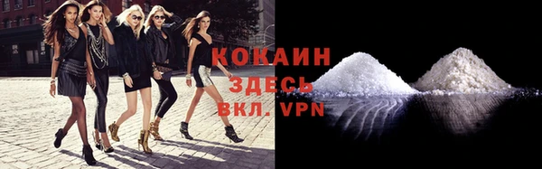 ECSTASY Богородицк