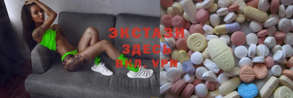 дживик Богородск