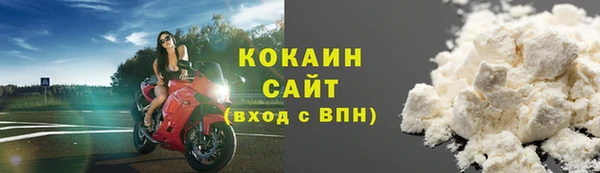 ECSTASY Богородицк