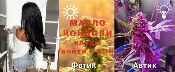 дживик Богородск