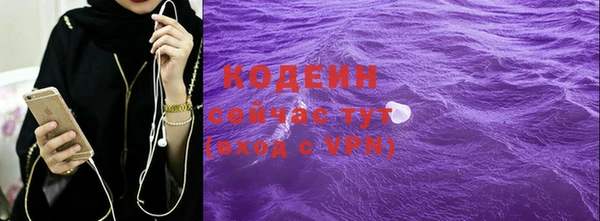 дживик Богородск