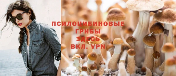ECSTASY Богородицк