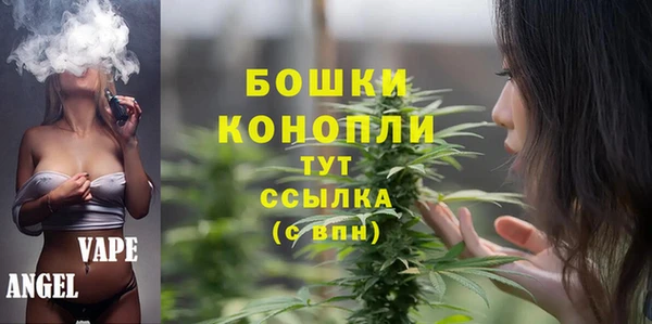 ECSTASY Богородицк