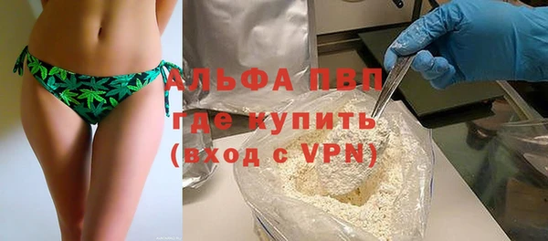 ECSTASY Богородицк