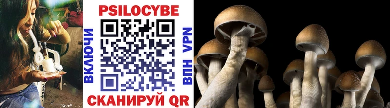 Псилоцибиновые грибы мухоморы  blacksprut зеркало  Далматово 