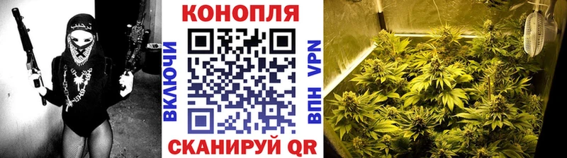 Шишки марихуана семена  Далматово 